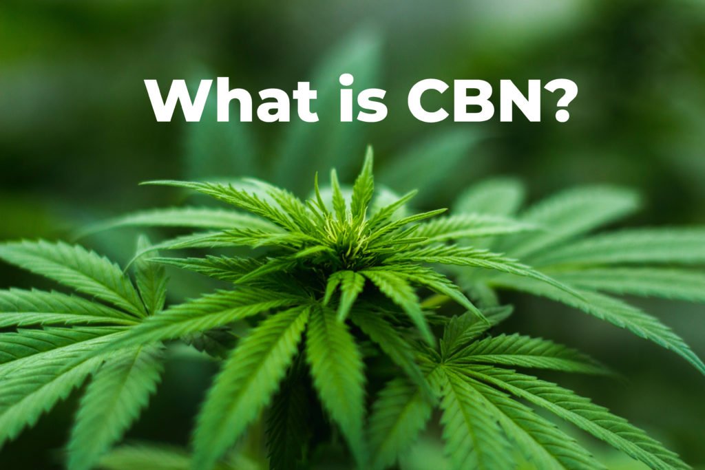 What is CBN