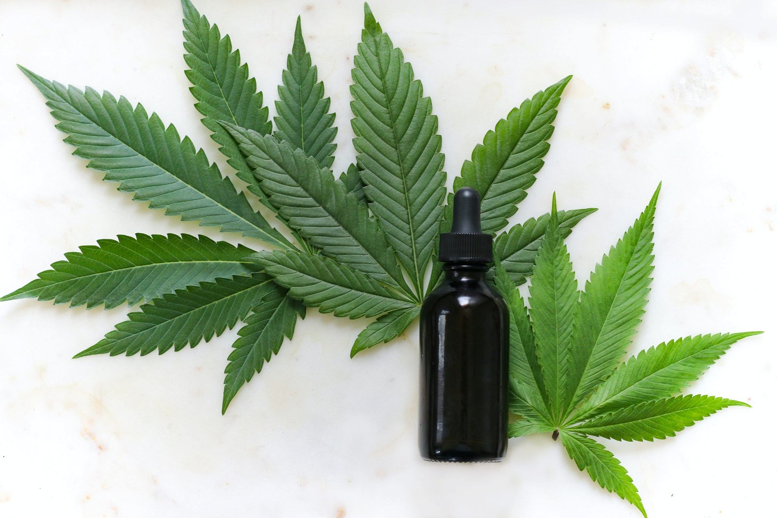 CBD for Concentration and memory