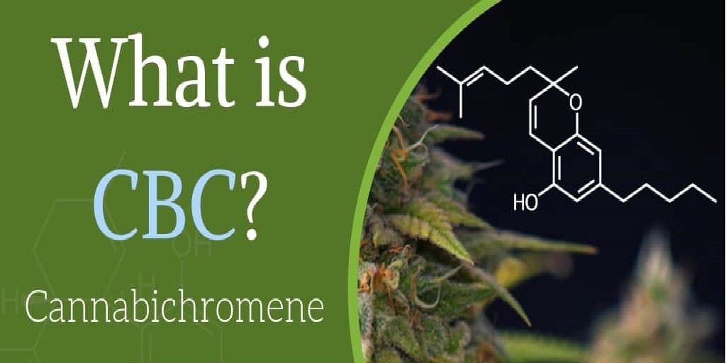 What is CBC cannabinoid
