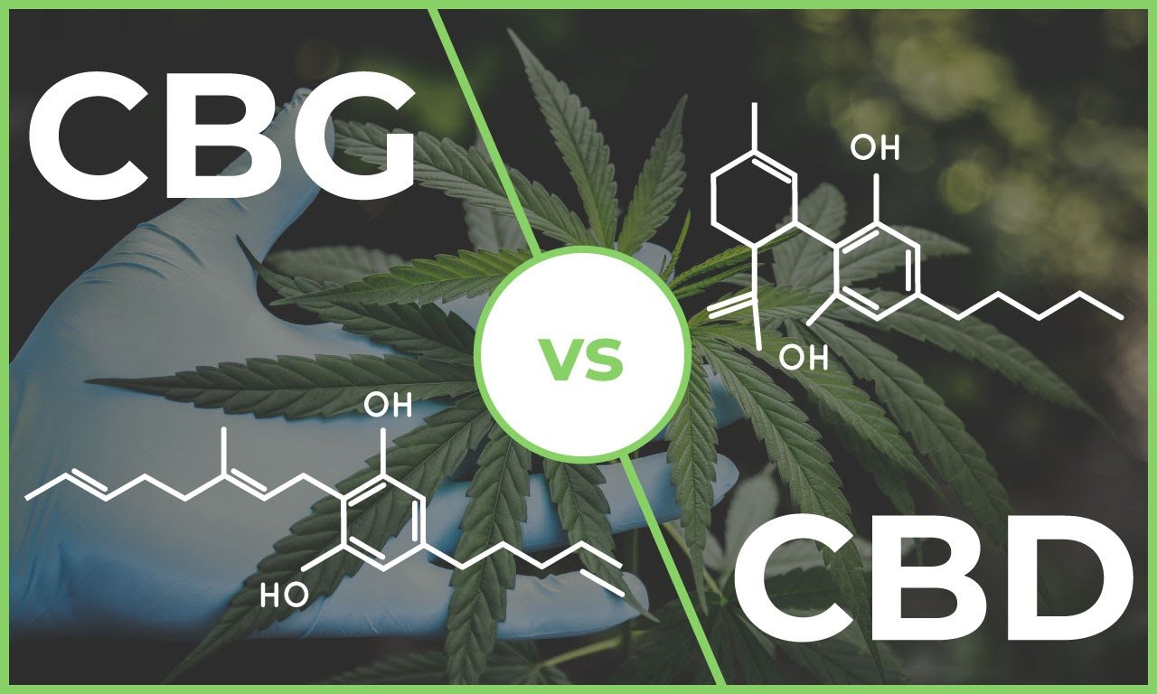 The Benefits of Using CBG and CBD Together