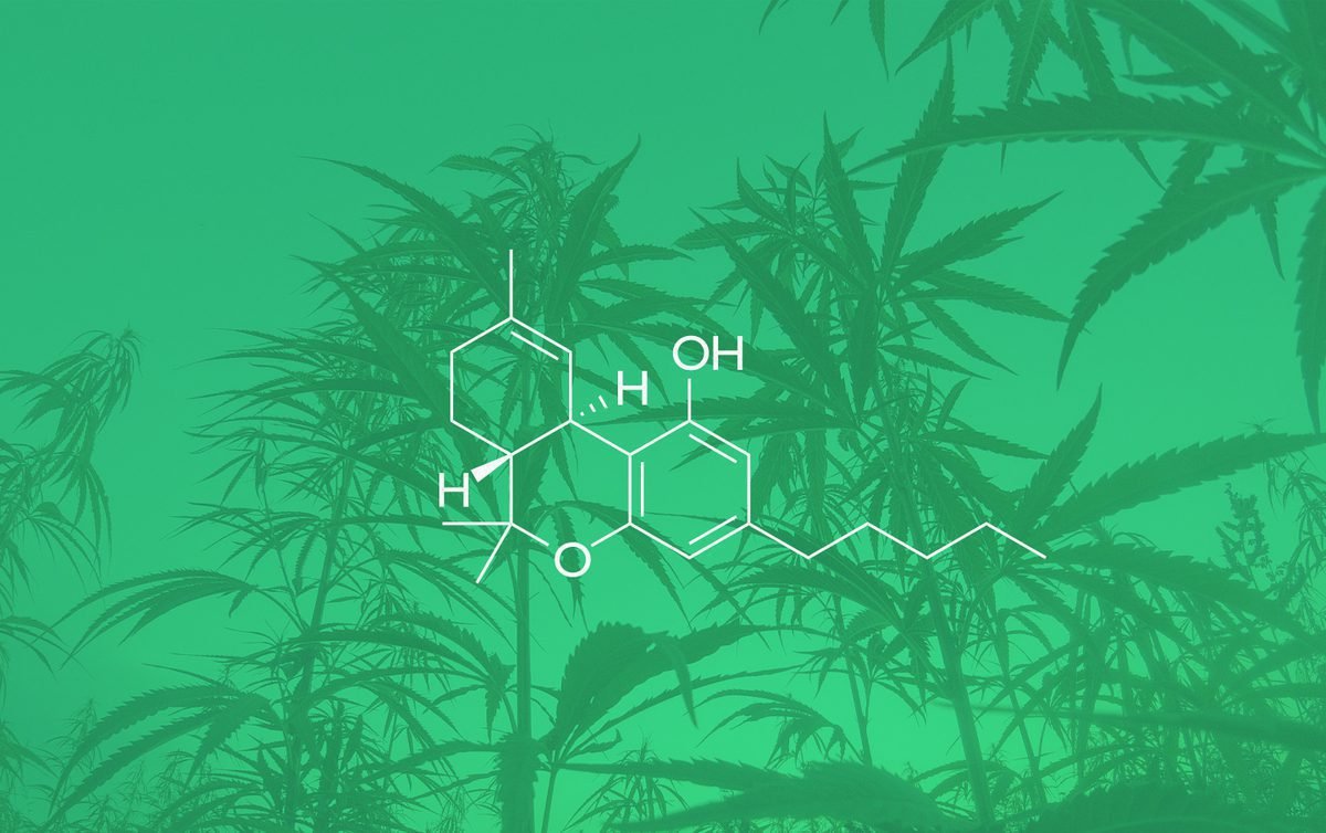 What is CBN(cannabinol) and the benefits of this cannabinoid?